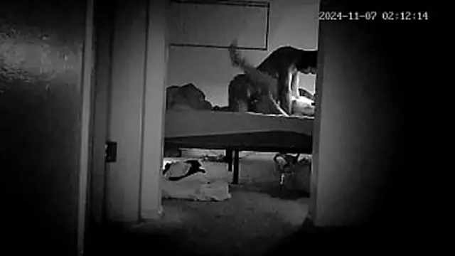 Friend Visited Two Nights Back &mdash;  Craved Some Action